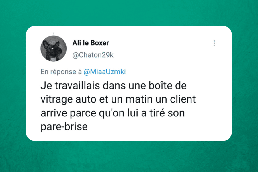 Les 16 meilleurs Tweets sur le pare-brise